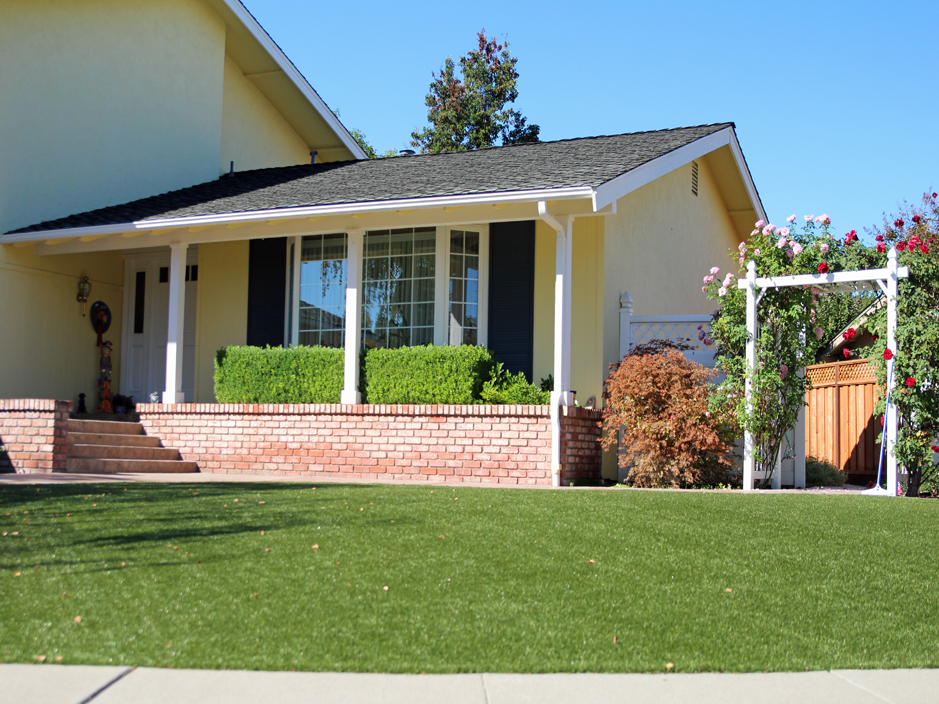 Installing Artificial Grass Orogrande, New Mexico City Landscape, Front Yard Landscape Ideas