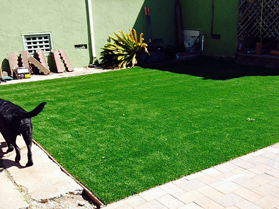 Synthetic Turf Supplier Vado, New Mexico Watch Dogs, Backyard Makeover