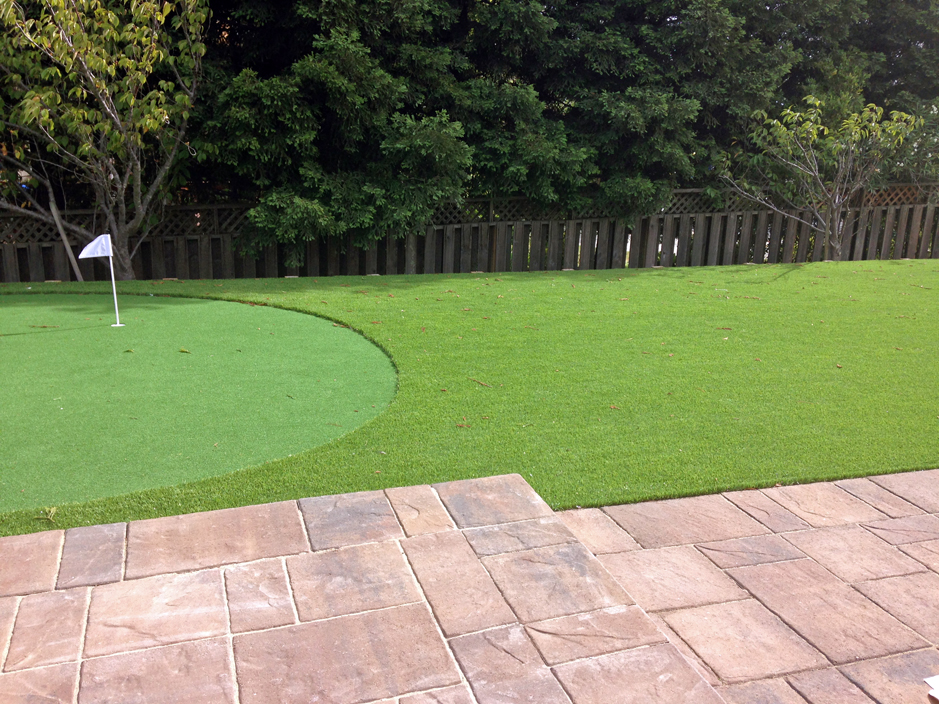Turf Grass Chili New Mexico Outdoor Putting Green Beautiful Backyards Turf Grass Chili New Mexico Outdoor Putting Green Beautiful Backyards