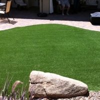 Artificial Grass Carpet Eagle Nest, New Mexico Dog Park, Backyard Landscaping