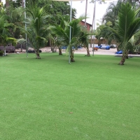 Artificial Grass Carpet Los Lunas, New Mexico Landscape Ideas, Commercial Landscape