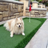 Artificial Grass Carpet San Ysidro, New Mexico Paver Patio, Backyard Designs