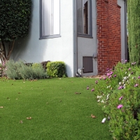 Artificial Grass Columbus, New Mexico Lawn And Landscape, Front Yard Landscape Ideas