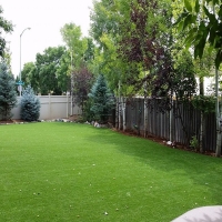 Artificial Lawn Luna, New Mexico Landscaping, Small Backyard Ideas