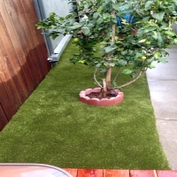 Artificial Turf Cost Logan, New Mexico Indoor Dog Park, Small Backyard Ideas