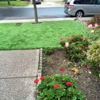 Artificial Turf Tohatchi, New Mexico Hotel For Dogs, Front Yard Landscaping Ideas