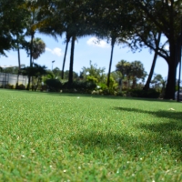 Fake Grass Animas, New Mexico Home And Garden, Recreational Areas