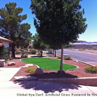 Fake Grass Carpet North Valley, New Mexico Gardeners, Front Yard Landscape Ideas