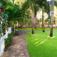 Fake Grass Carpet Ponderosa Pine, New Mexico Landscape Ideas, Pavers