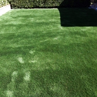 Fake Grass Chamizal, New Mexico Dog Running, Backyard Design