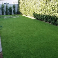 Fake Grass Los Ranchos de Albuquerque, New Mexico Hotel For Dogs, Backyard