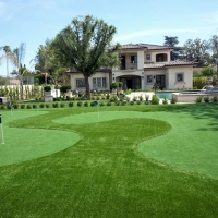 Fake Grass Watrous, New Mexico Indoor Putting Greens, Small Front Yard Landscaping