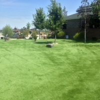 Fake Turf San Jose, New Mexico Artificial Turf For Dogs, Parks