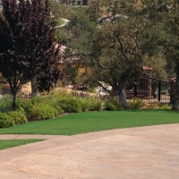 Synthetic Grass Portales, New Mexico Landscaping Business, Backyards