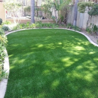 Synthetic Lawn Playas, New Mexico Design Ideas