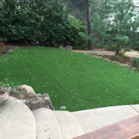 Turf Grass Dora, New Mexico Landscape Ideas, Backyard Ideas