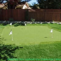 Turf Grass Sandia Heights, New Mexico Home Putting Green, Backyard Designs