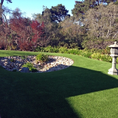 Artificial Grass Carpet Edgewood, New Mexico Design Ideas, Backyard Makeover