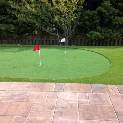 Artificial Grass Carpet Pueblitos, New Mexico Indoor Putting Greens, Backyards