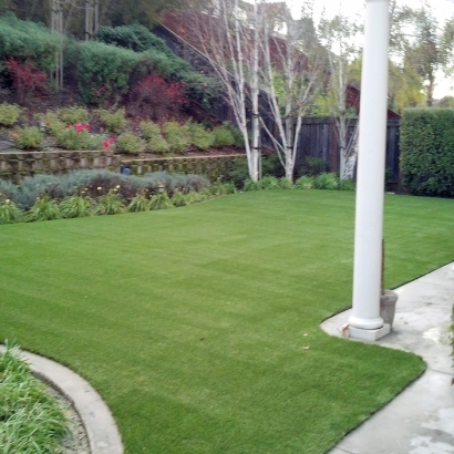 Artificial Grass Carpet Upper Fruitland, New Mexico Artificial Grass For Dogs, Beautiful Backyards