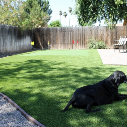 Artificial Grass Deming, New Mexico Home And Garden, Backyard Design