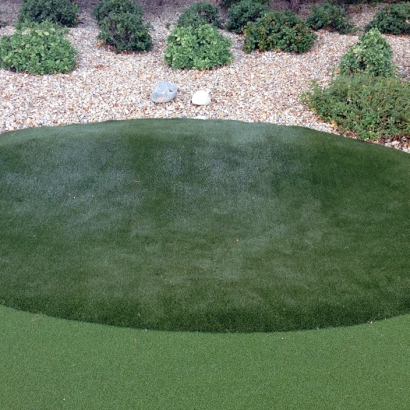 Artificial Grass Lamy, New Mexico Putting Green Flags