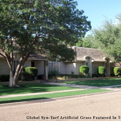 Artificial Grass Peralta, New Mexico Landscape Design, Front Yard Landscape Ideas