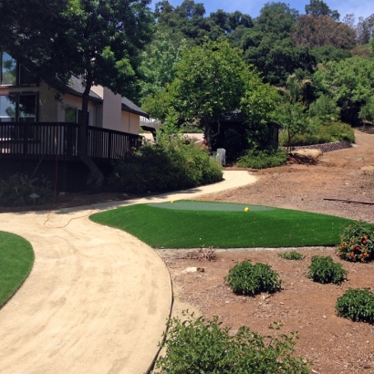 Artificial Lawn Young Place, New Mexico Landscaping, Front Yard