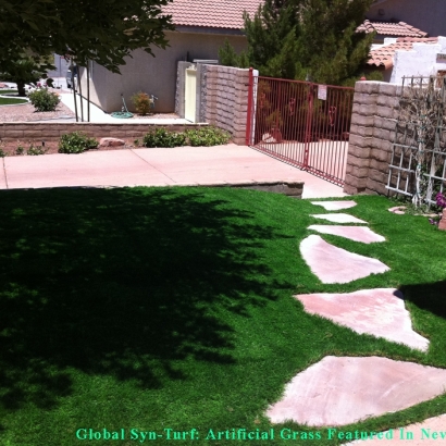 Artificial Turf Cost Sandia Park, New Mexico Roof Top, Small Front Yard Landscaping