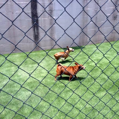 Artificial Turf Installation Bloomfield, New Mexico Dog Run