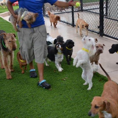 Artificial Turf Installation Cotton City, New Mexico Watch Dogs, Commercial Landscape