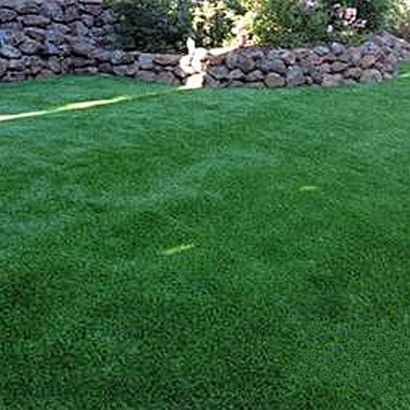 Artificial Turf Installation Melrose, New Mexico Design Ideas, Small Backyard Ideas