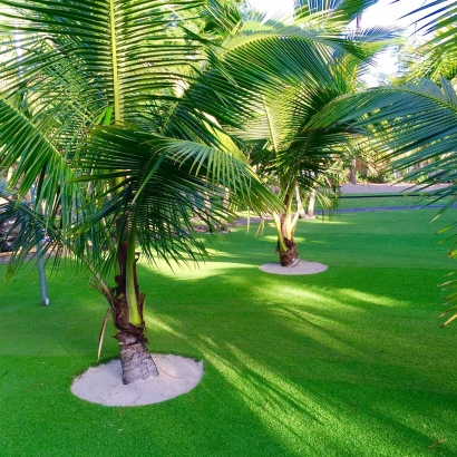 Best Artificial Grass Albuquerque, New Mexico Lawn And Garden, Commercial Landscape