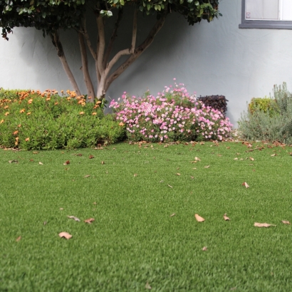 Best Artificial Grass Artesia, New Mexico Rooftop, Front Yard Landscaping