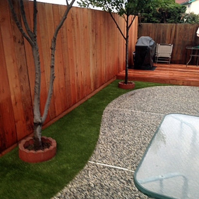 Best Artificial Grass Gila, New Mexico Fake Grass For Dogs, Backyard Landscaping Ideas
