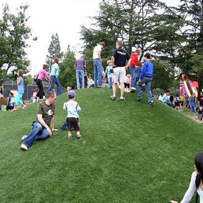 Fake Grass Carpet Chamberino, New Mexico Landscape Ideas, Parks