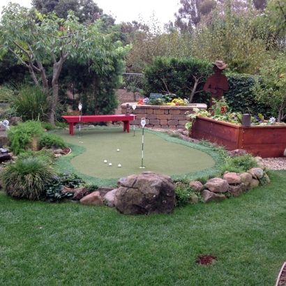 Fake Grass Carpet Cuyamungue, New Mexico Design Ideas, Small Backyard Ideas