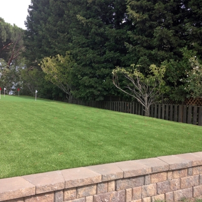 Fake Grass Carpet Madrid, New Mexico Putting Greens, Backyard Makeover