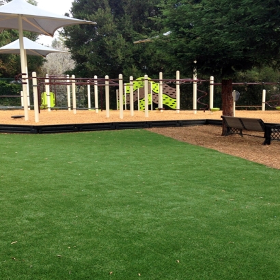 Fake Grass Carpet Mesilla, New Mexico Athletic Playground, Beautiful Backyards