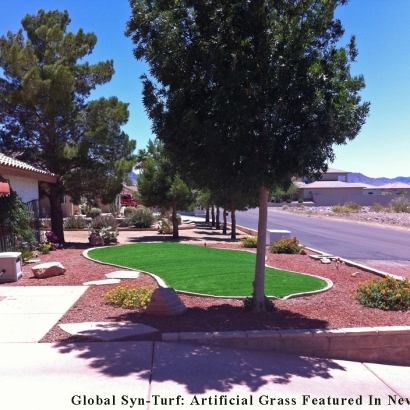 Fake Grass Carpet North Valley, New Mexico Gardeners, Front Yard Landscape Ideas