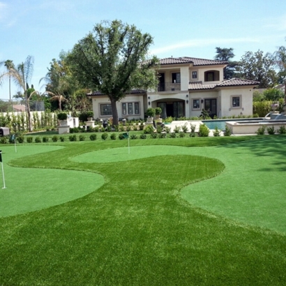 Fake Grass Watrous, New Mexico Indoor Putting Greens, Small Front Yard Landscaping