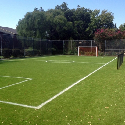 Fake Turf Chamizal, New Mexico Sports Turf, Commercial Landscape