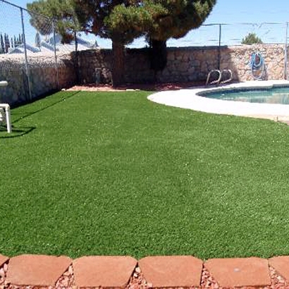 Fake Turf Gallup, New Mexico Hotel For Dogs, Pool Designs