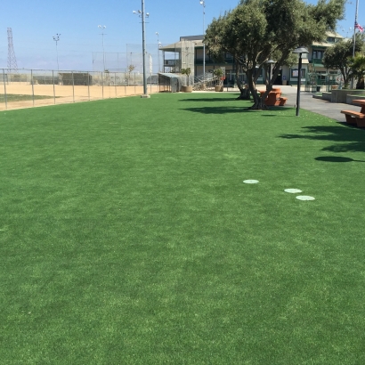 Fake Turf Santa Ana Pueblo, New Mexico Backyard Deck Ideas, Recreational Areas