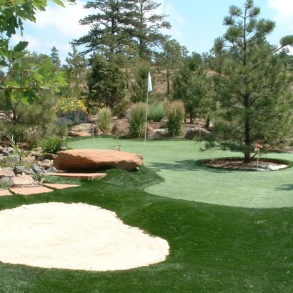 Faux Grass Causey, New Mexico City Landscape, Small Backyard Ideas