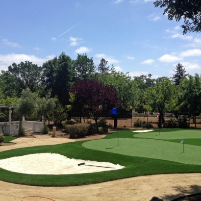 Faux Grass North San Ysidro, New Mexico Backyard Putting Green, Front Yard Design