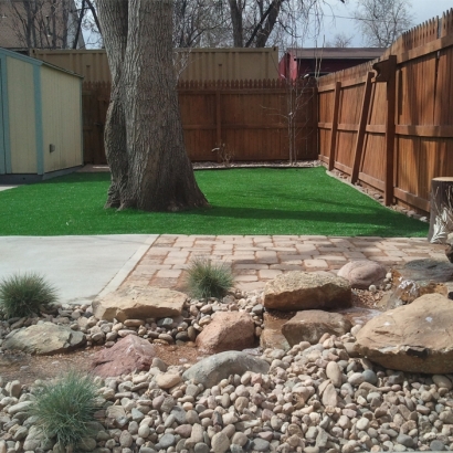 Faux Grass Virden, New Mexico Design Ideas, Backyard