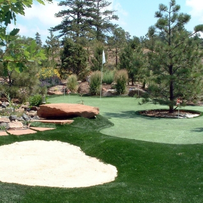 Grass Carpet Cloudcroft, New Mexico Diy Putting Green, Backyard Landscape Ideas