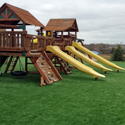 Grass Carpet Ponderosa Pine, New Mexico Backyard Deck Ideas, Commercial Landscape