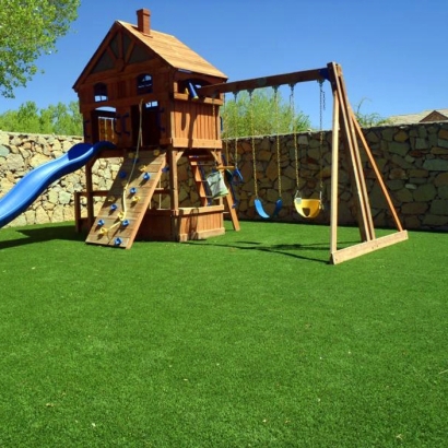 Grass Carpet Salem, New Mexico Backyard Playground, Backyard Landscaping Ideas